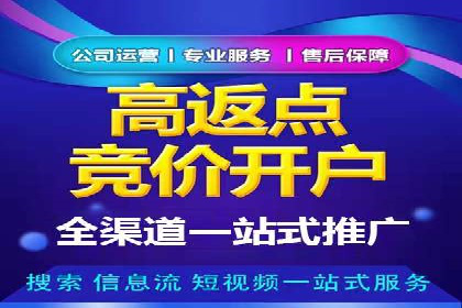 某品牌通过百度广告实现快速增长的案例